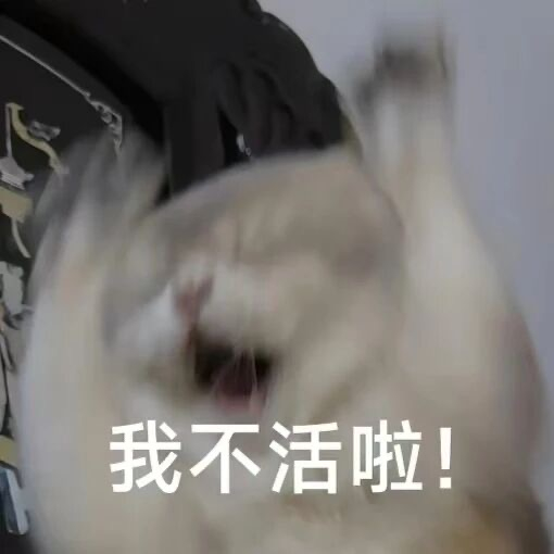 仁仁日记手册  我之前买了10个眼镜袋装墨镜，便宜质量还特别好，就用了一个，其他