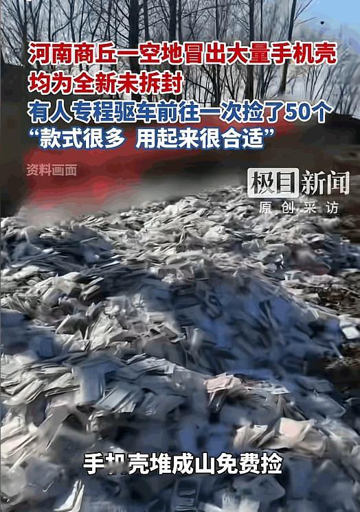 “解释不清了！”近日，河南一男子在郊区散步时，突然发现不远处一处洼地里，竟然堆满