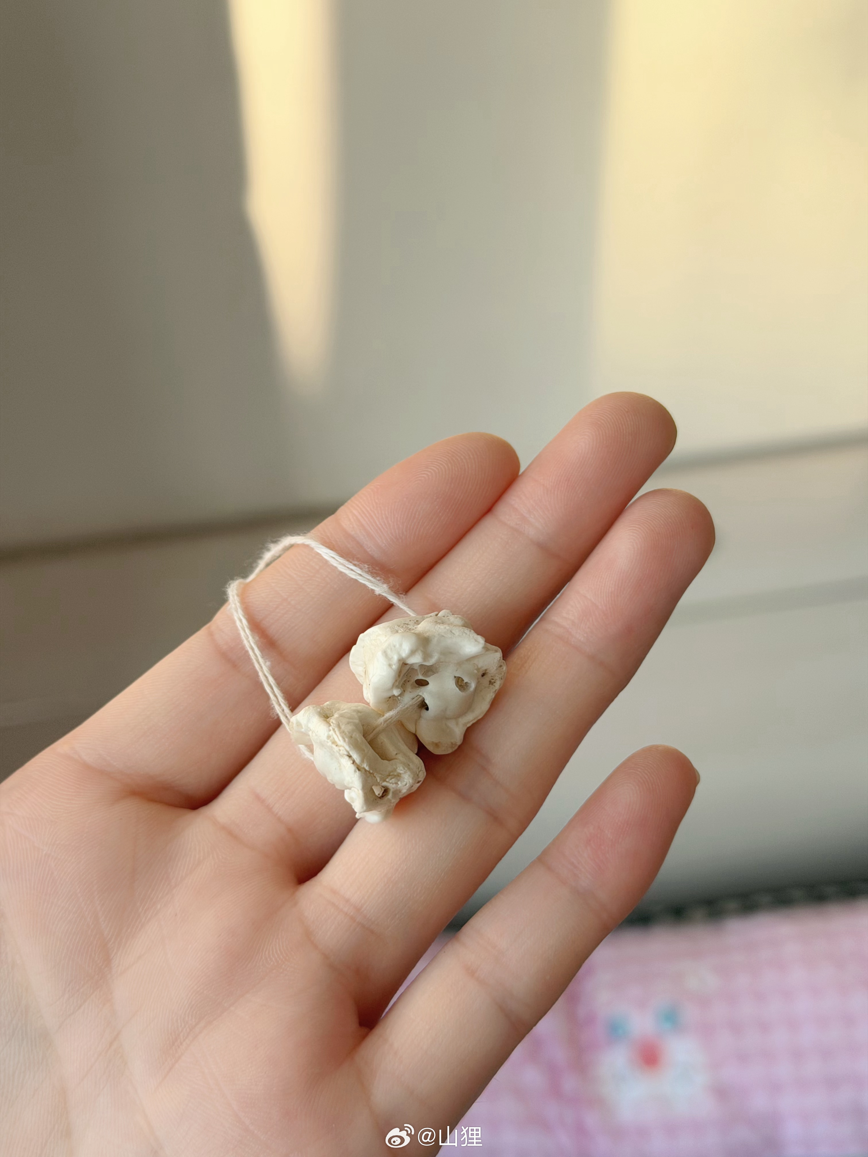 好爱我的妈妈 都这么大了 还像卖肉的要猪精骨给我 看到什么好看的花都给我看 一点