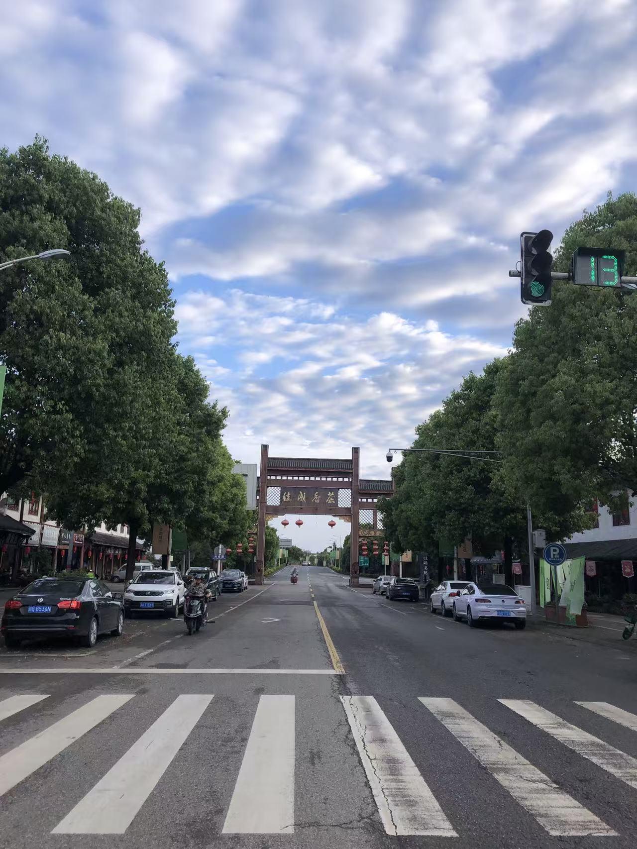 茶乡浦江县成佳镇。每年清明前后都要到成佳镇来一趟，主要是呼吸新鲜空气，春游一趟，