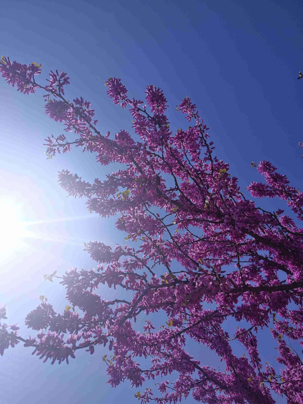 我的今日状态：😁轻松愉快
我这里的天气：☀️晴天
节后第一天，阳光明媚，微风不