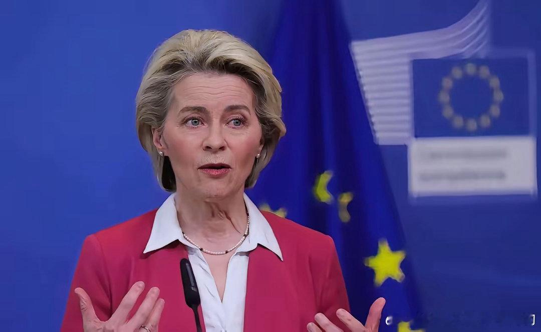 欧盟27国，集体跪了！欧盟二十七个国家这次全都统一了立场，再也没有国家愿意坚持反