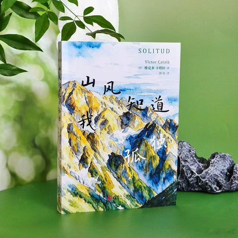 我的私人宝藏书单书评周末宅家沉浸式阅读  📚《山风知道我孤独》出品：这是一部长