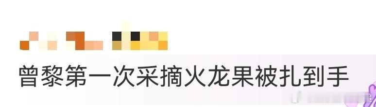 曾黎第一次采摘火龙果被扎到手 曾黎的海南之旅充满了惊喜。从参加活动到体验采摘，每