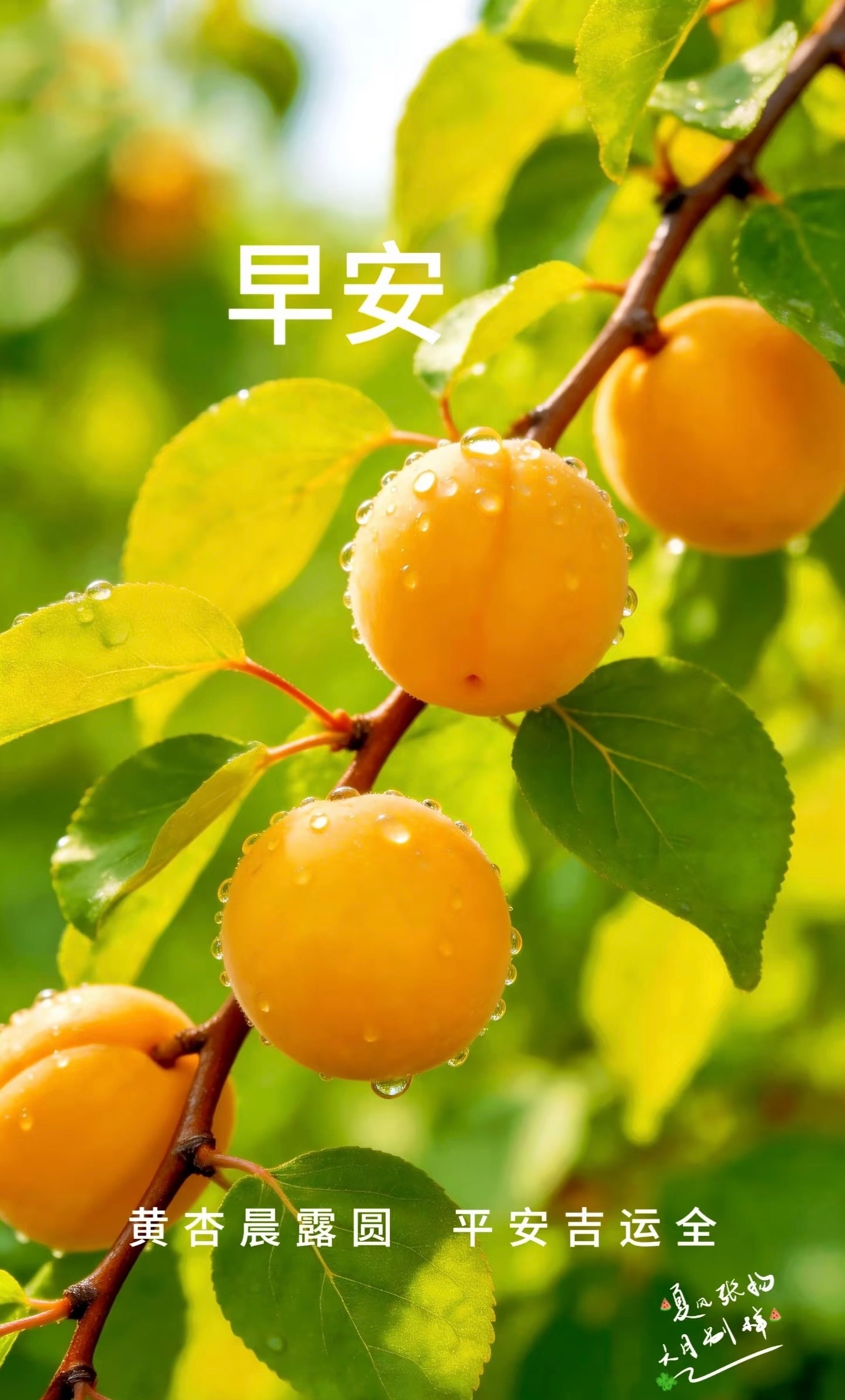早安，新的一天，愿日子清透，万事顺心。新的一天，新的希望，昨日反弹后，市场将会再