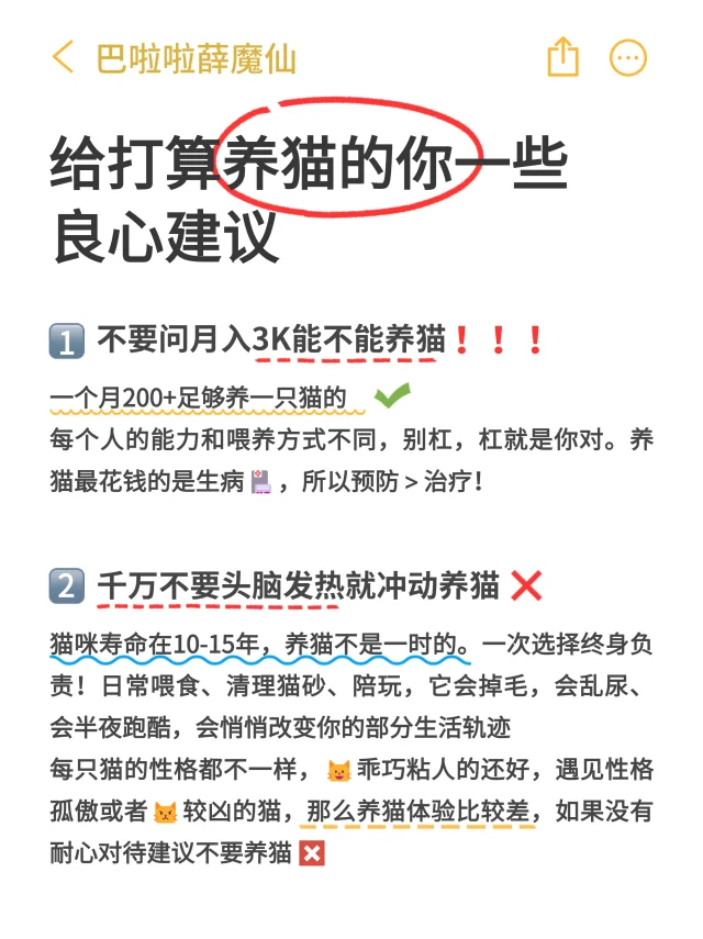 月均200💰养出健康猫咪❗️新手必看