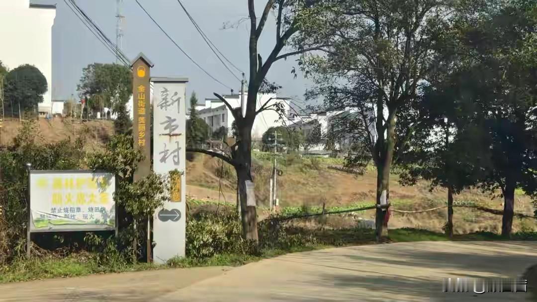 株洲新市村被贴抢猪村标签！村民直呼憋屈，网红团队却说满心愧疚
 
900万粉丝网