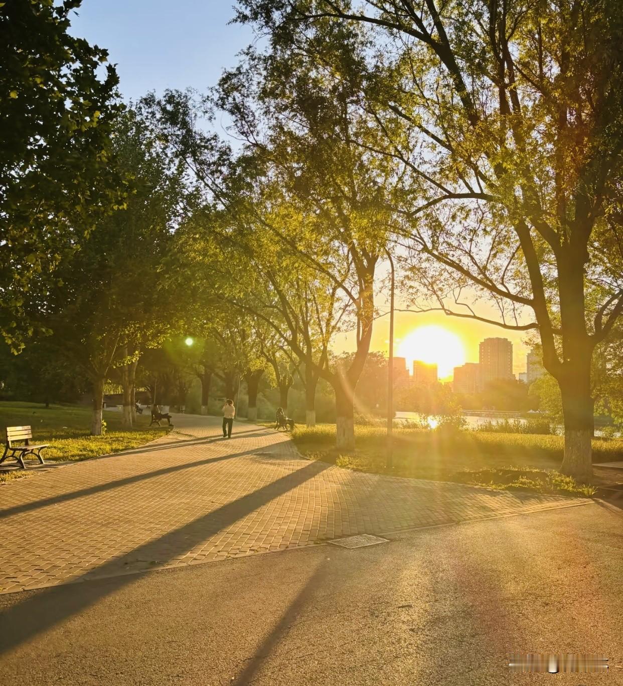 发张你手机里最美的夕阳照可以吗傍晚散步偶遇绝美落日，金黄的阳光穿过枝叶洒落满地碎