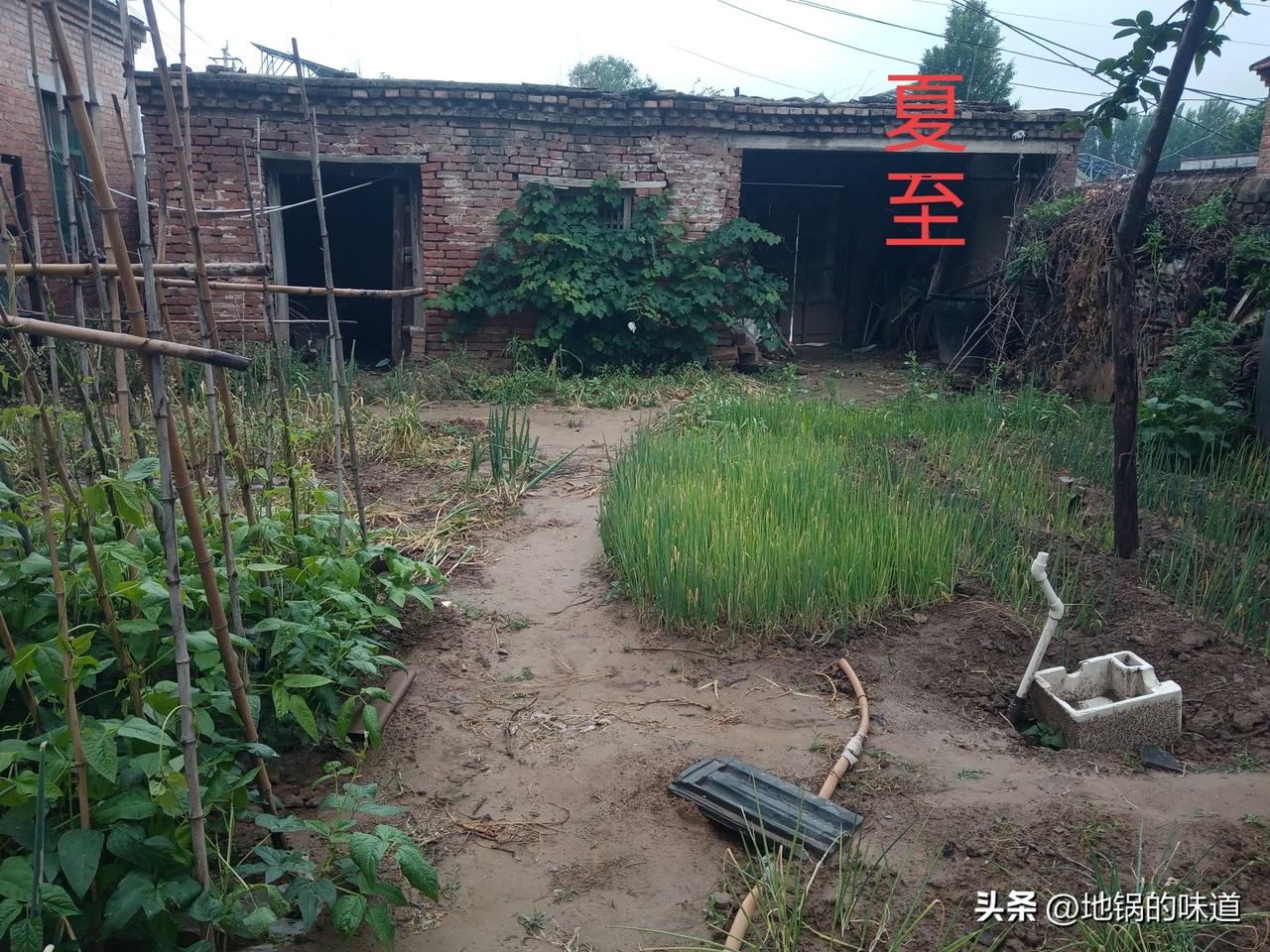 热不热，就看五月初七夏至
早夏至凉飕飕，晚夏至热死牛
夏至在午前，伏天要穿棉；夏