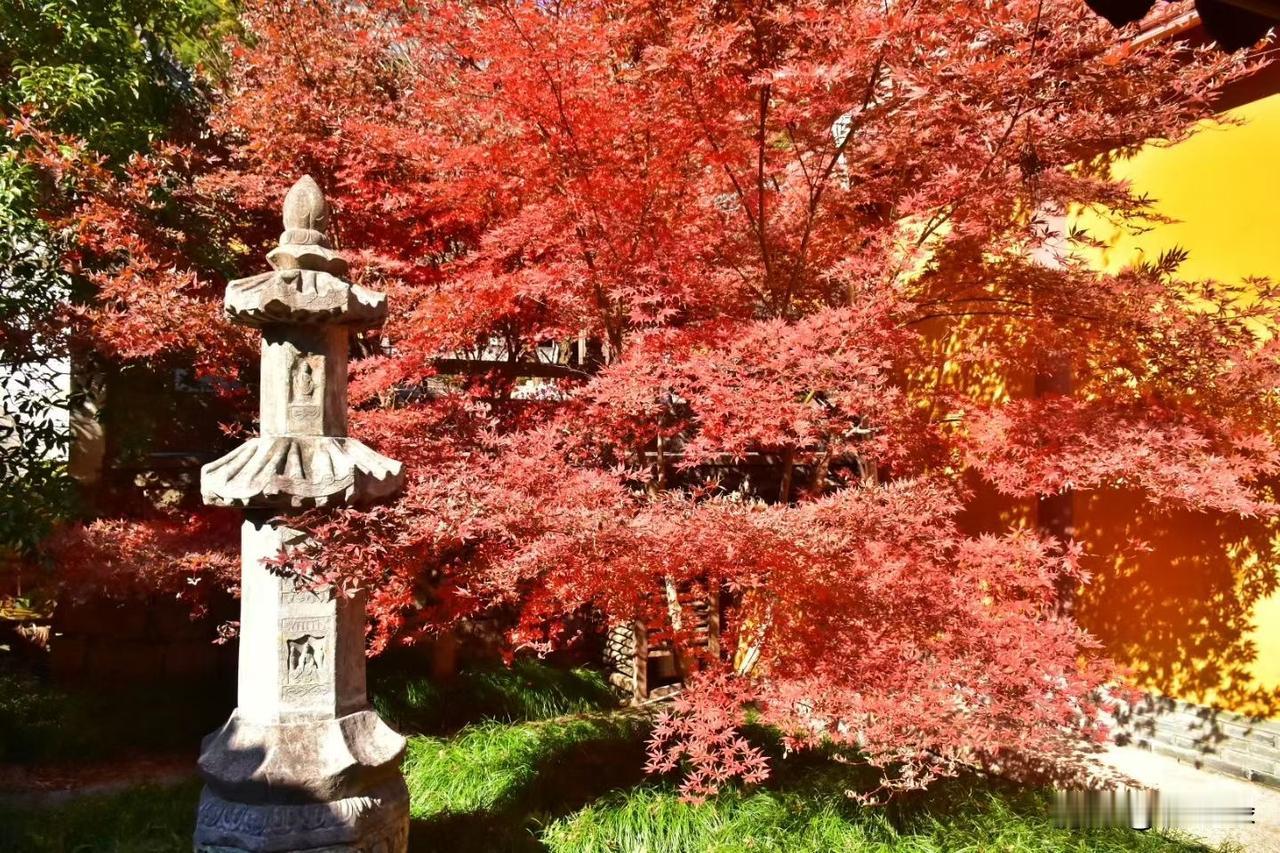 周五我们要去北京了，我和妹妹一起送姐姐去北京，顺便在北京玩几天，周六故宫周日军博