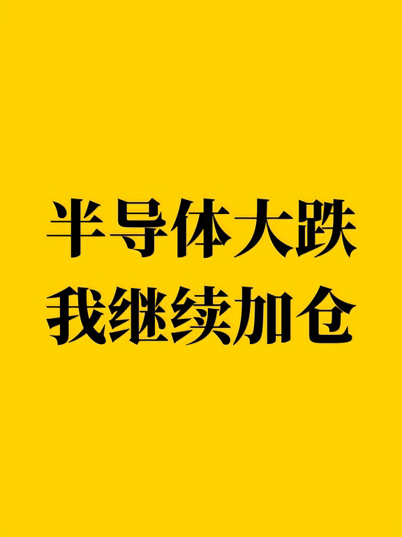半导体大跌，我继续加仓