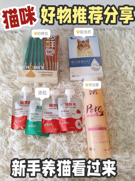 猫咪好物推荐分享|新手养猫看过来