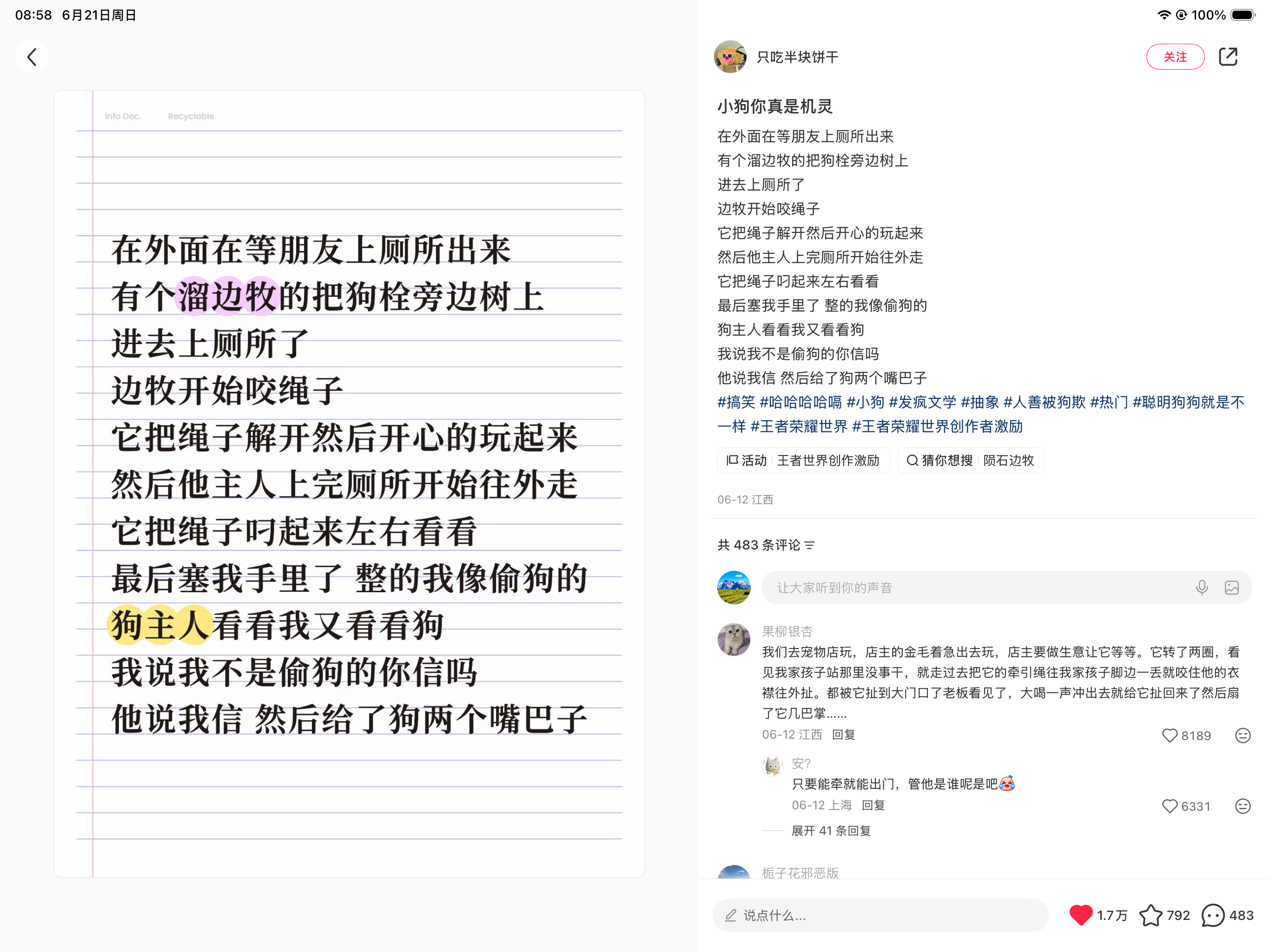 好机灵的边牧哈哈哈哈哈哈 