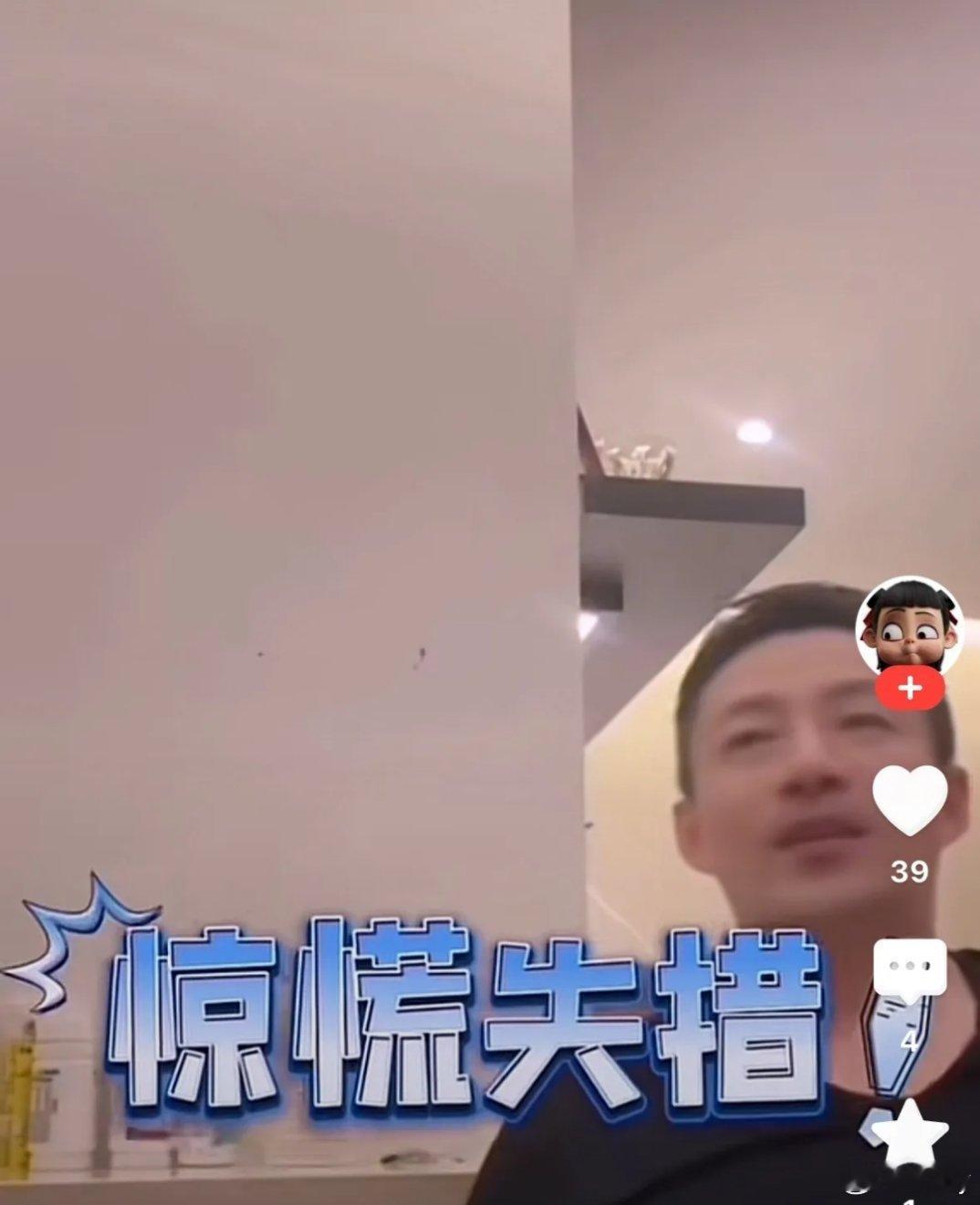 汪小菲说，自从有了汪希霖都不怕老鼠了，现在更怕汪希霖，原因是….汪希霖喜欢荷兰猪