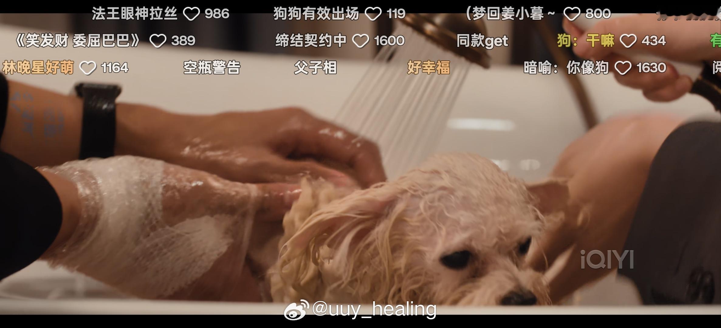 好萌呀。 