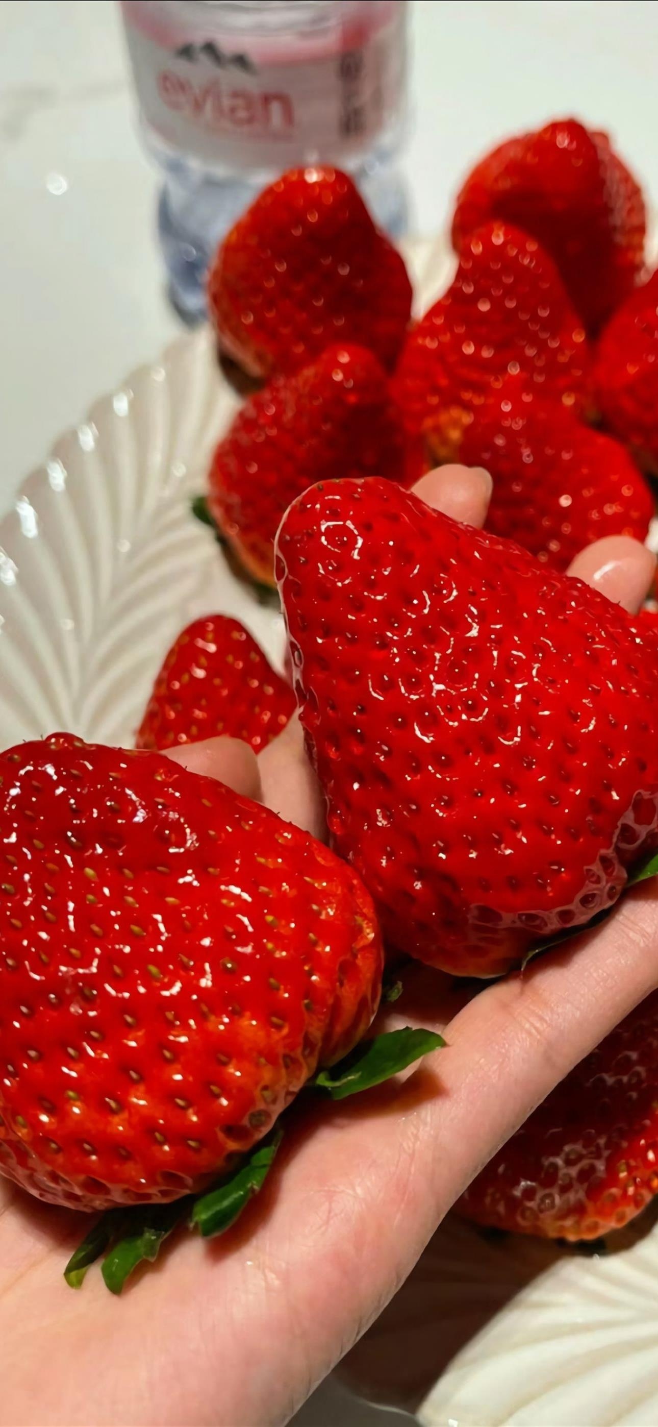 老规矩，睡前一更。明日甲辰  丁卯  己卯。我看了一眼万年历上说这个日课适合结婚