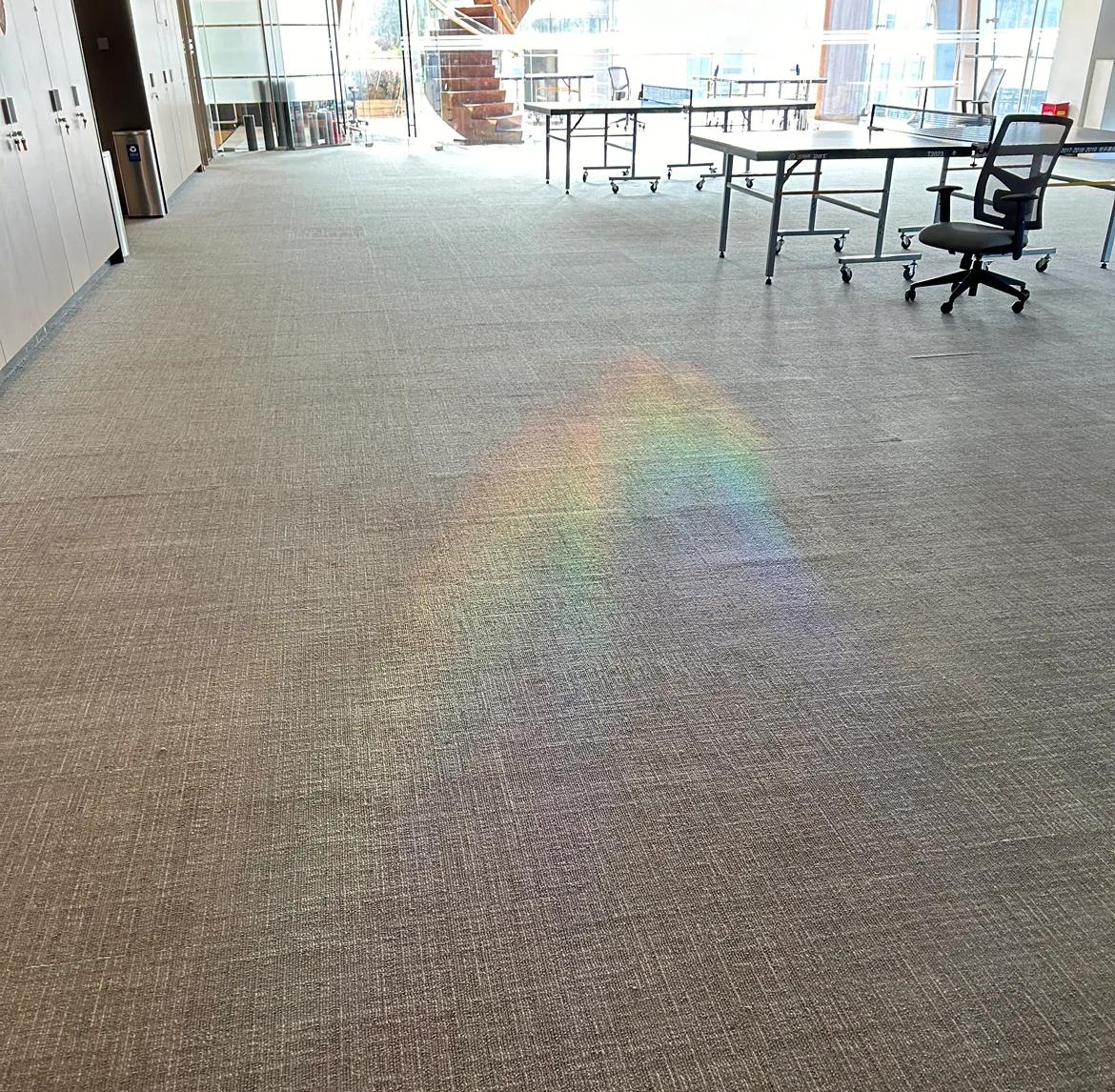 哇塞，周一早上办公室就见到彩虹🌈
一周美妙生活从彩虹开始
#秋日生活打卡季##