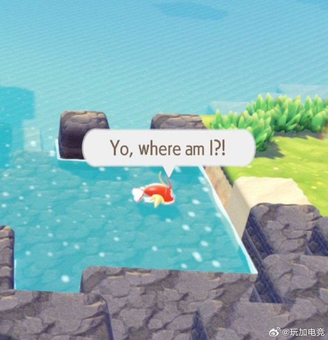 Gen.G的宝可梦塑✨小福蛋Canyon、走路草Chovy、杰尼龟Ruler、鲤