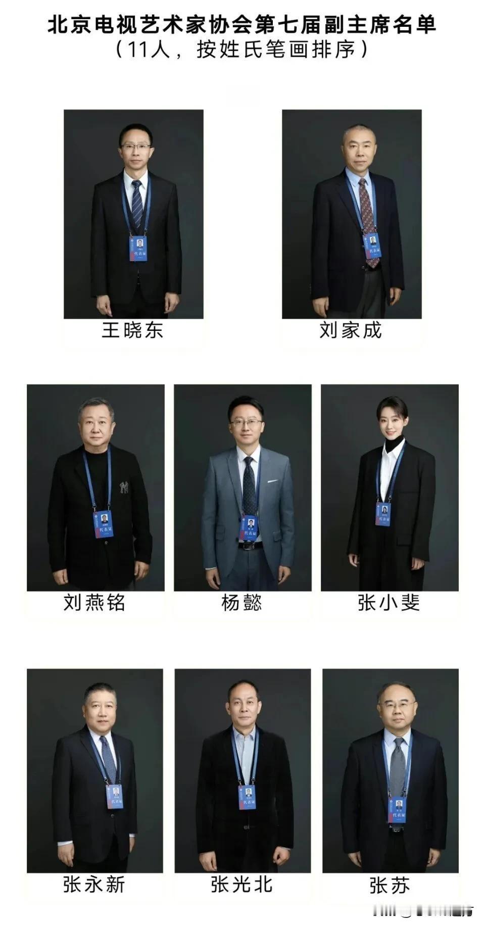 张小斐当选北京电视艺术家协会副主席，11人里的唯一女性！
