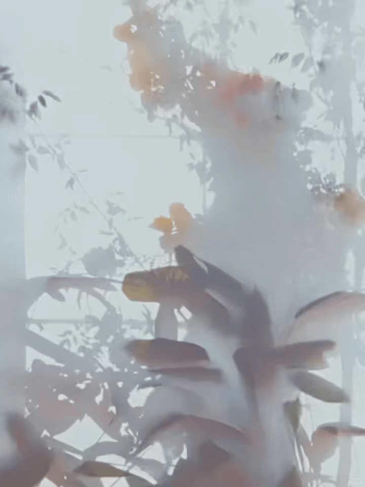 陈都灵即将亮相《marie claire》塞尔维亚版新刊，国内杂志收获颇多，海外