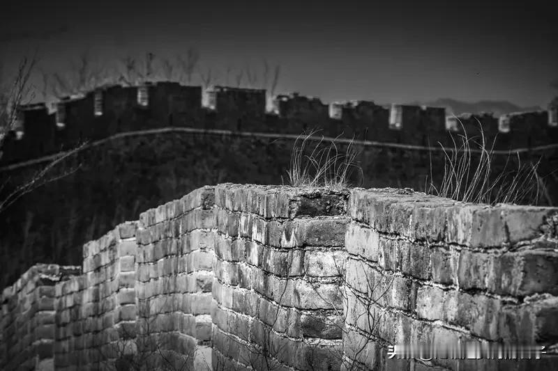 19岁女生长城诵诗为何引全网共情 19岁女生长城诵诗能引全网共情，原因其实很简单