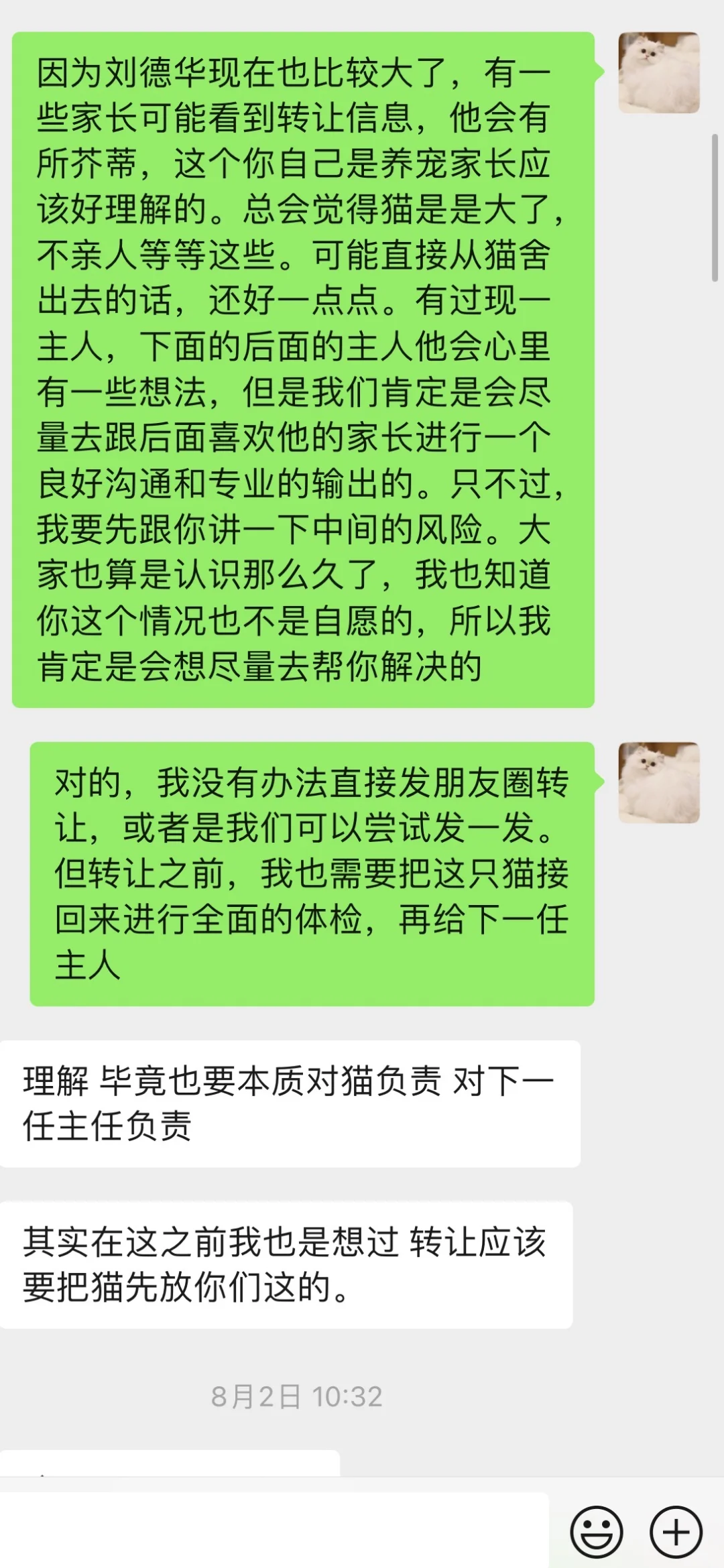 特殊猫只公布✨家长特价转让赛级蓝金