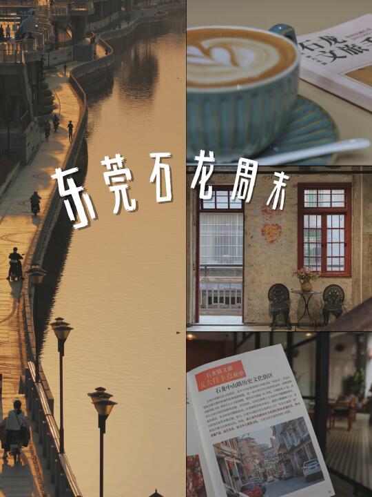 在东莞石龙 这是我好喜欢的一条路