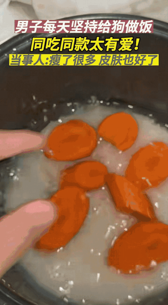 广东一男子的经历太有意思了！工作忙起来没时间给狗做饭，干脆跟狗狗同吃一锅饭，图个