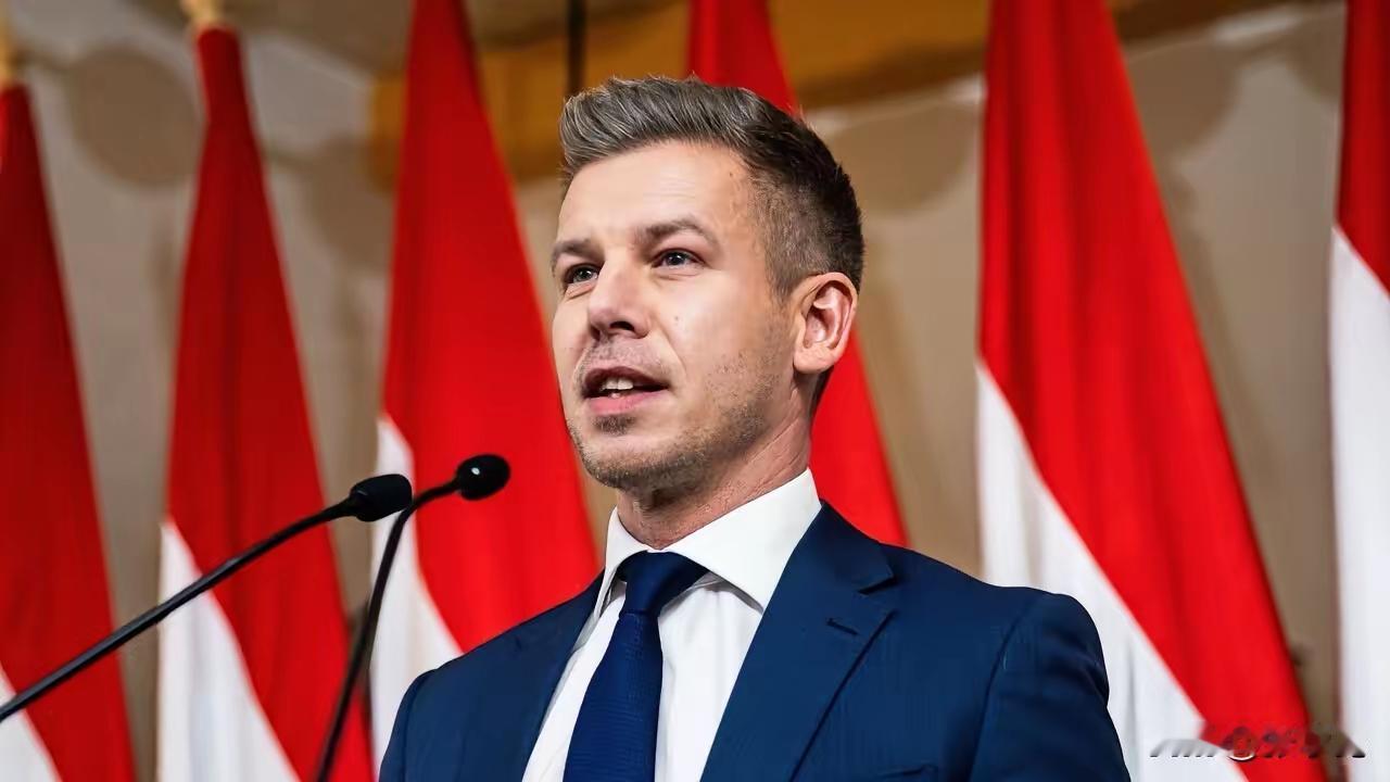 毛焦尔，匈牙利icon新任总理，非常厉害！

匈牙利政坛这回可真是太热闹了。
 