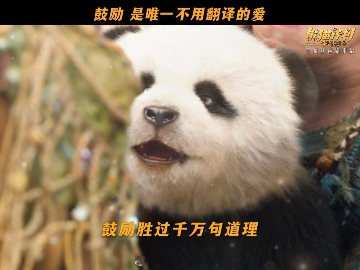 鼓励是唯一不需要解释的爱 马丽饰演的族长质疑训练方式，成龙就一句话：不能这样训练