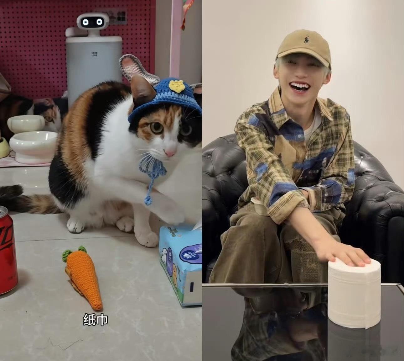 梓渝工作室 萝卜纸巾这游戏真给他玩开心了，呲个大牙在这认真玩游戏😄选对还有小奖