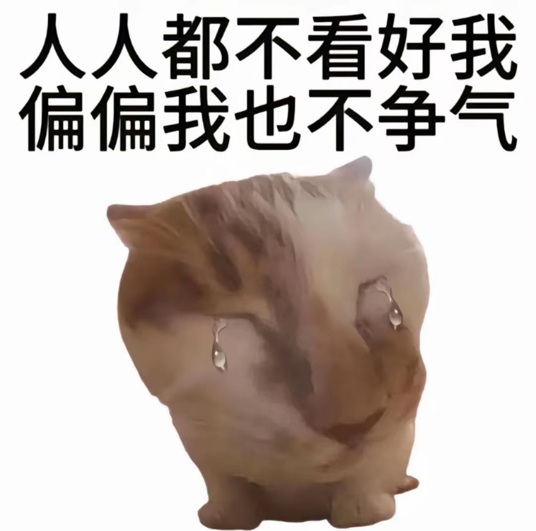 【丑化那条未选择的路】确实能让我保持信心应面对当下生活的苦难 