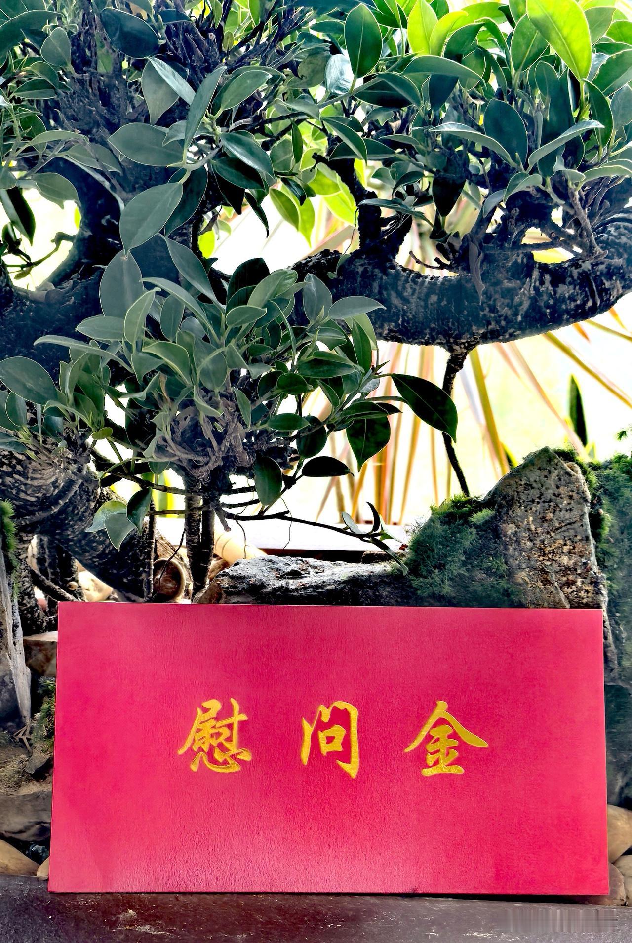 今天是“七一”，收到组织的慰问金，亲切又温暖。
建党105周年了，党员总数已经突
