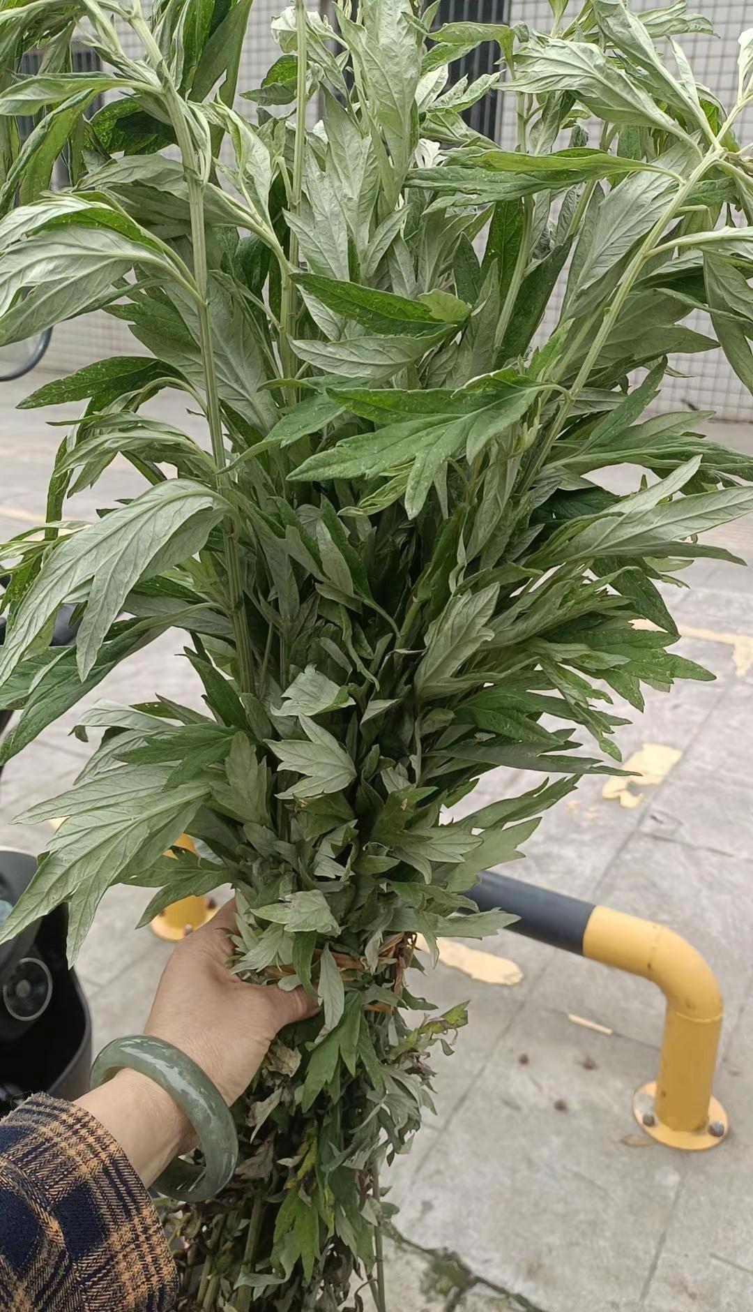 今天这么大的雨，从安康水库堵车到万州高速路口，为了爱，我奋不顾身，风雨无阻的前行