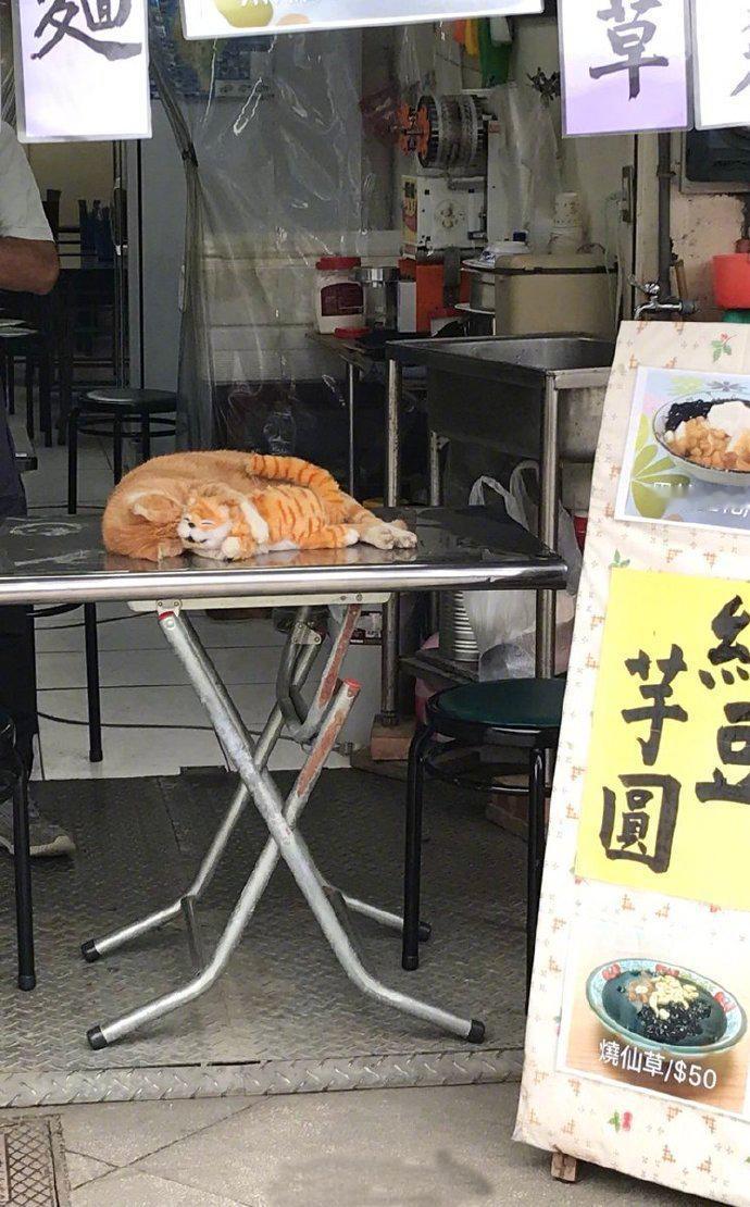 抱着橘色的玩偶，做橘色的梦，梦里都是好吃的！