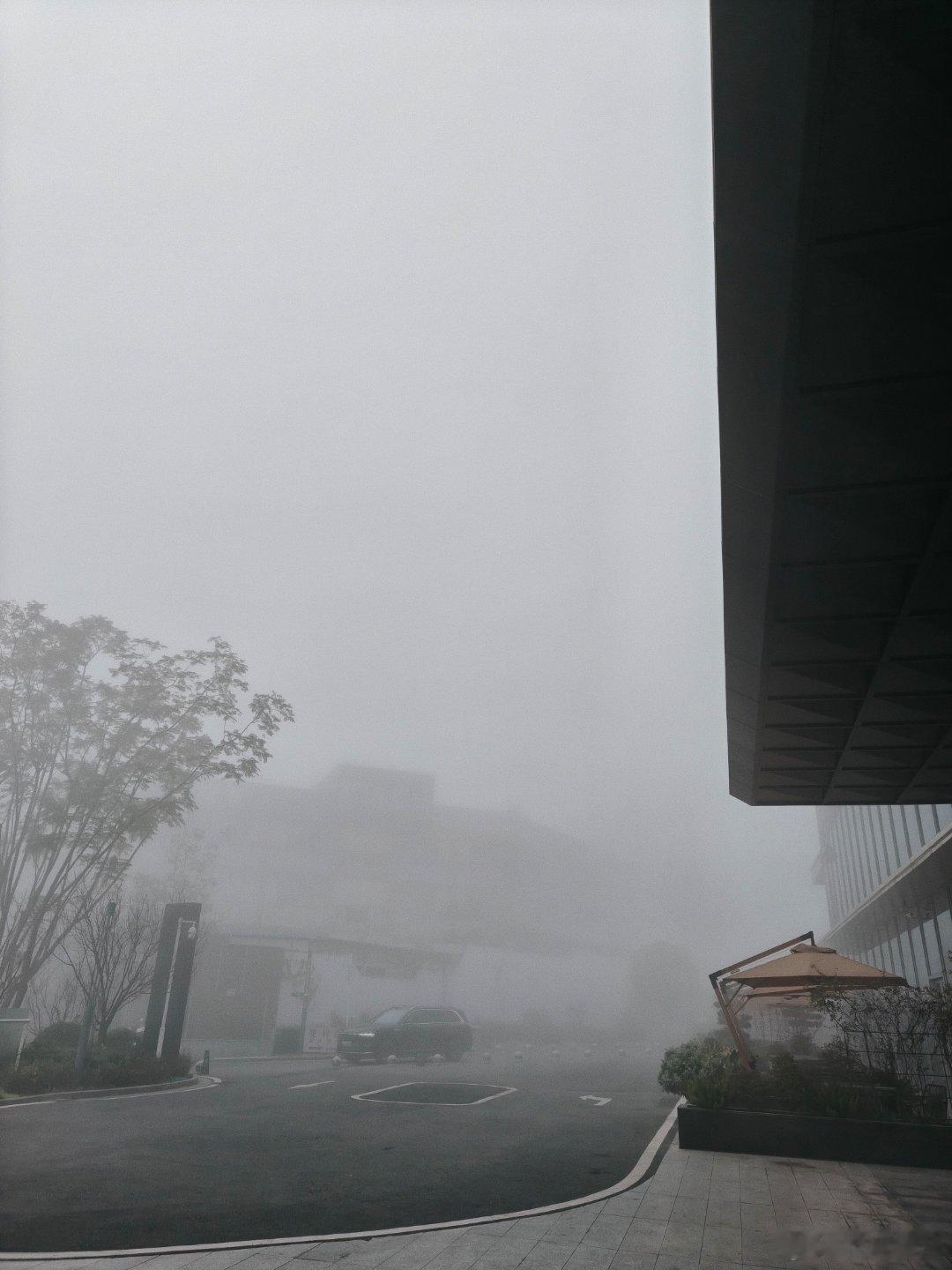 起床在重庆遇到了超级大雾太离谱了 重庆·重庆北站福朋喜来登酒店