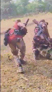 印军士兵被打跪地求饶哇哇大叫！越境袭击邻国平民，却被农民及巡逻兵收拾，最后印军道