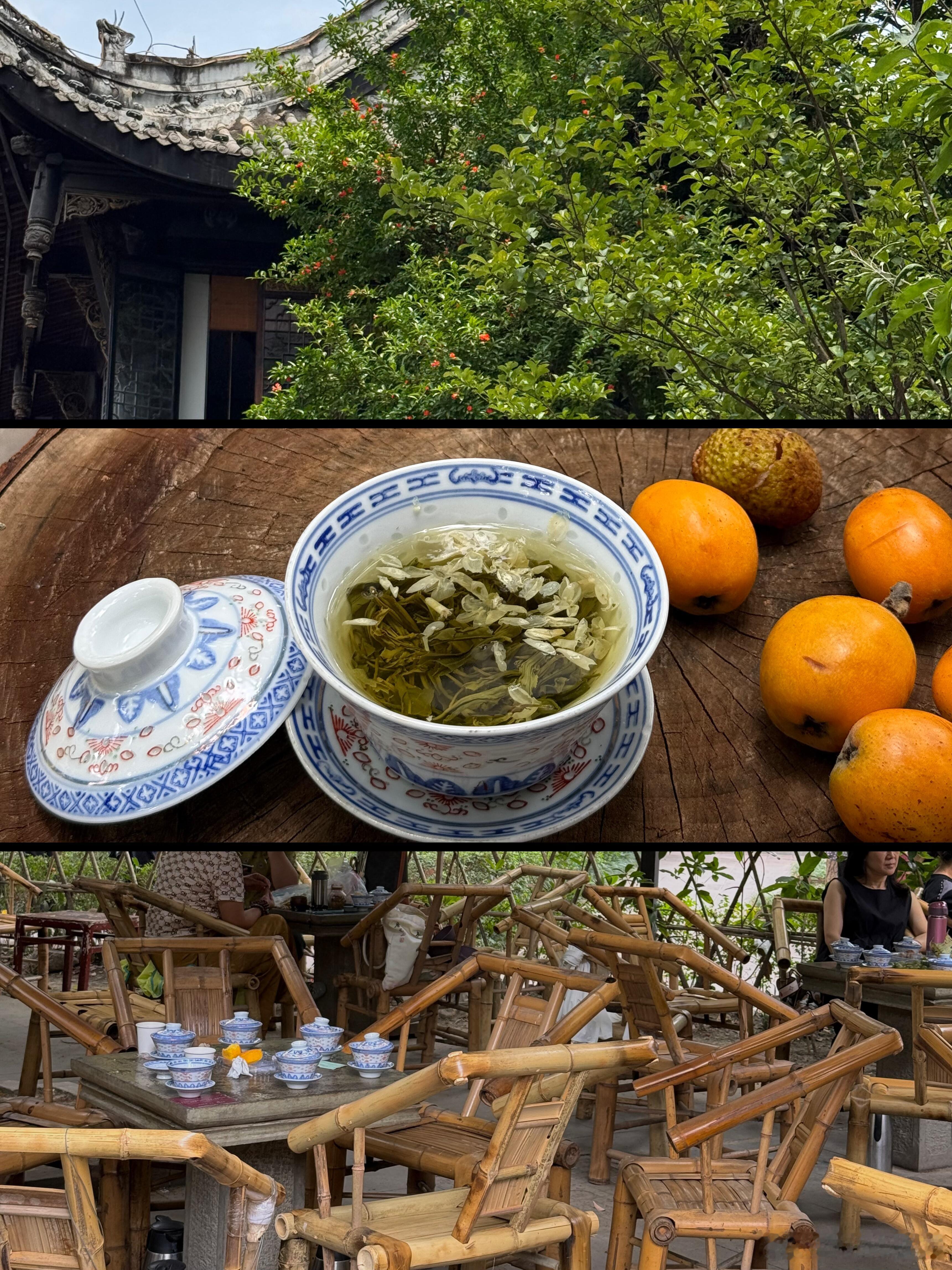 红旗金葵花携国宝非遗绽放蓉城成都这座城市，是那种你来了就不想走，走了还会惦记的地