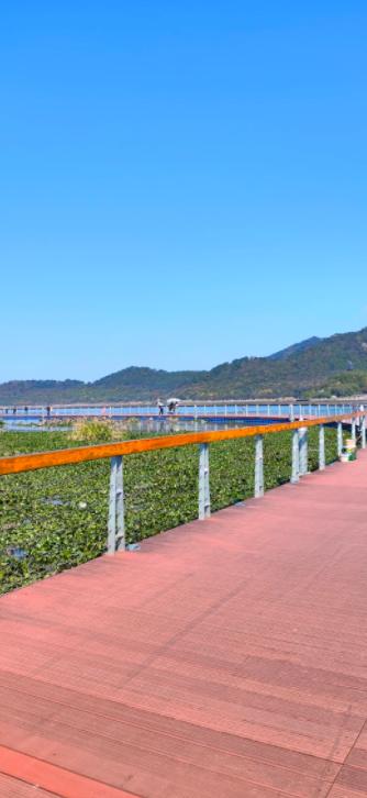 奢侈品卖不动了？背后原因不简单！
亲爱的朋友们大家好，我是海林小百科！今天我们聊