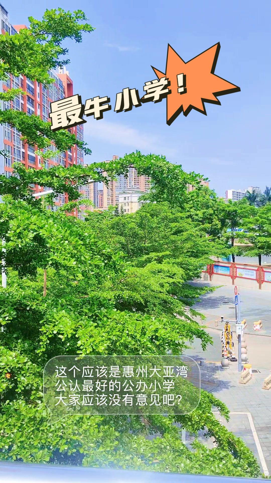 大亚湾小学里的头把交椅？大亚湾西区第一小学真是太让人惊喜！作为惠州公认最好的公办
