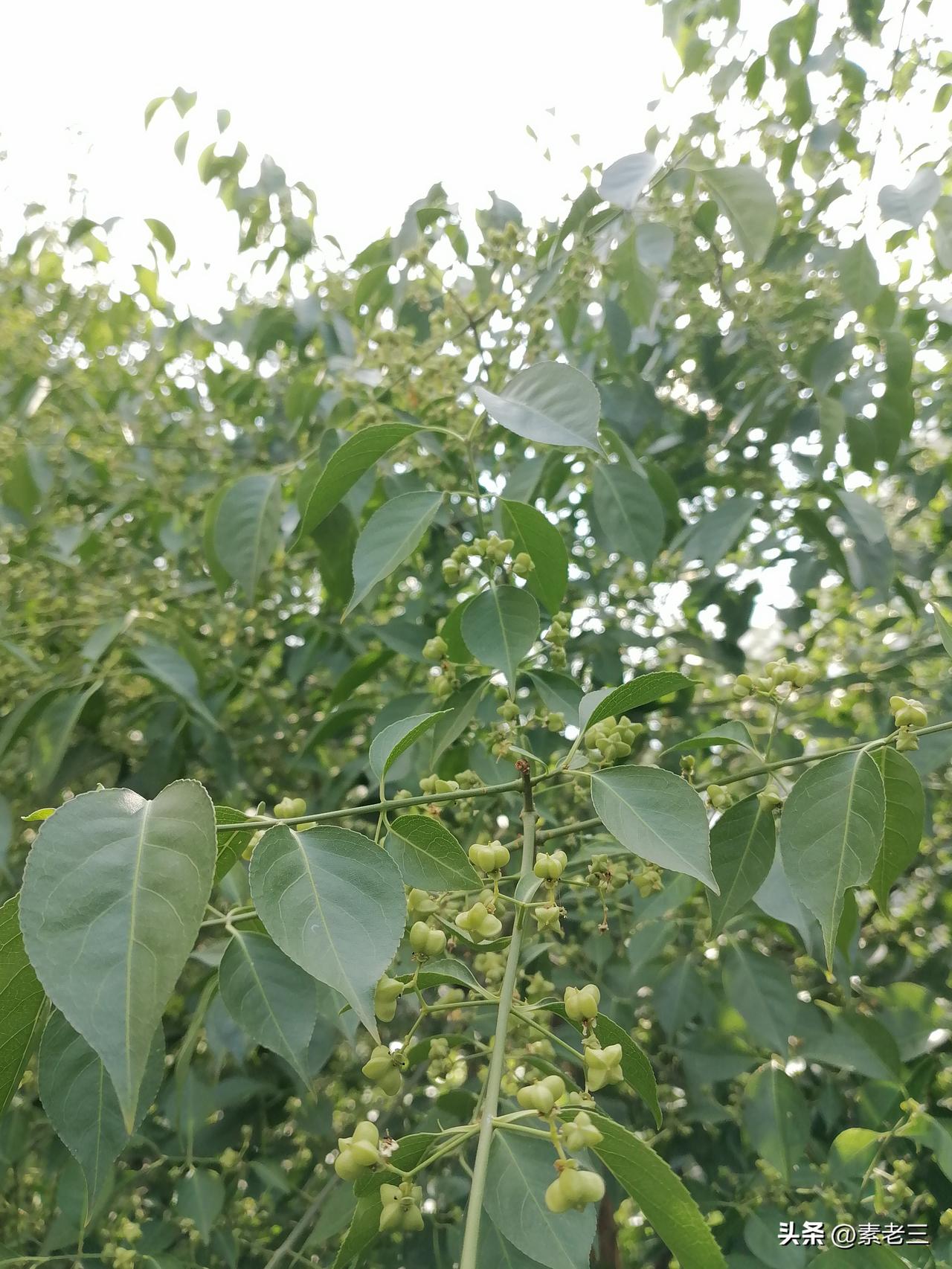 在小区遇到一个邻居，跟他聊了几句，竟然发现他妻子已经去世了。

小区里，有两口子