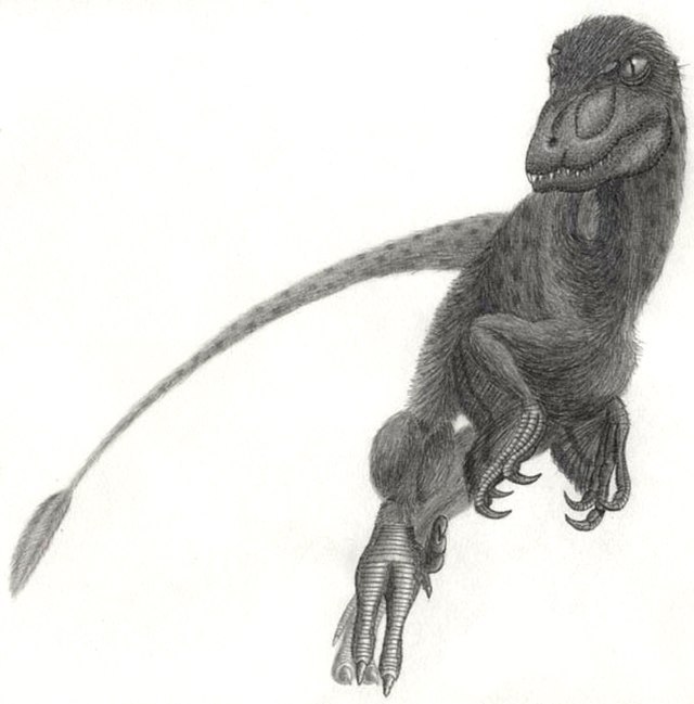 #你的桌面恐龙博物馆# 第十二课 火盗龙（三）Pyroraptor 要和天性活泼