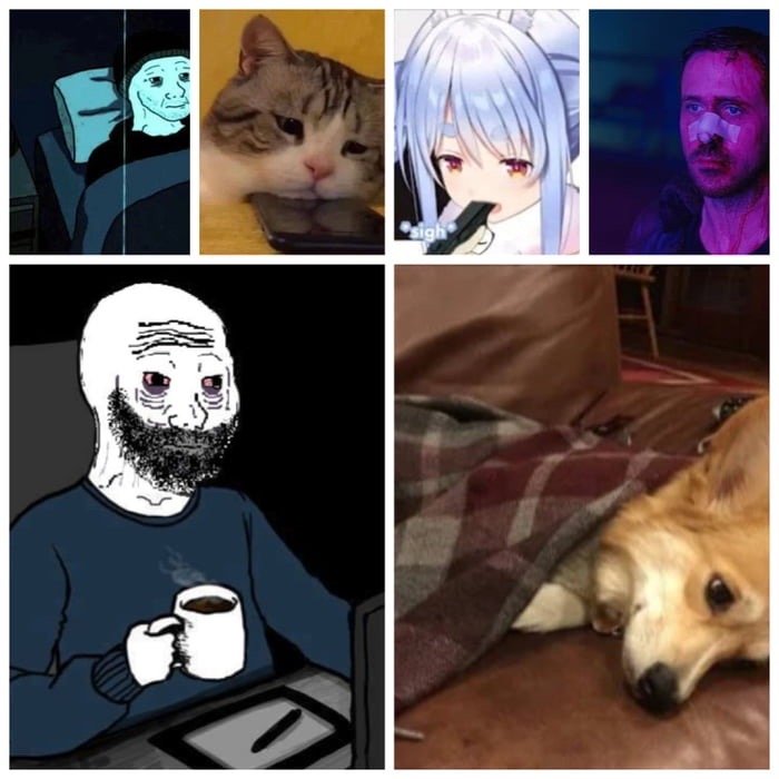 “最近怎么样”“还好啦”#meme# ​​​