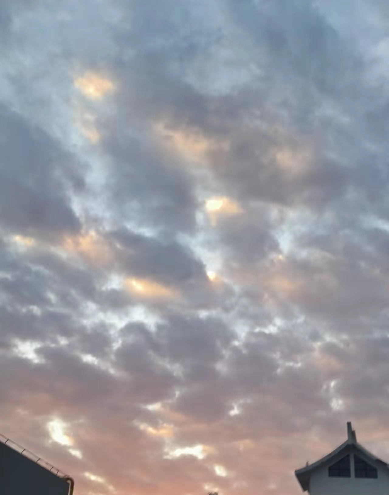 记录者 我邻居二叔，今年咬牙把全家人的新农合都给断缴了。他蹲在门口算了笔账：一家