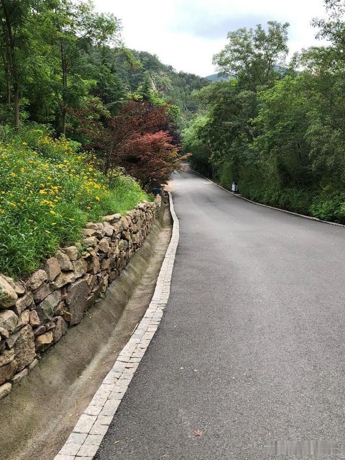 🌿春日漫游珠山｜保姆级路线攻略来啦

春日的阳光最适合来一场说走就走的森林漫游