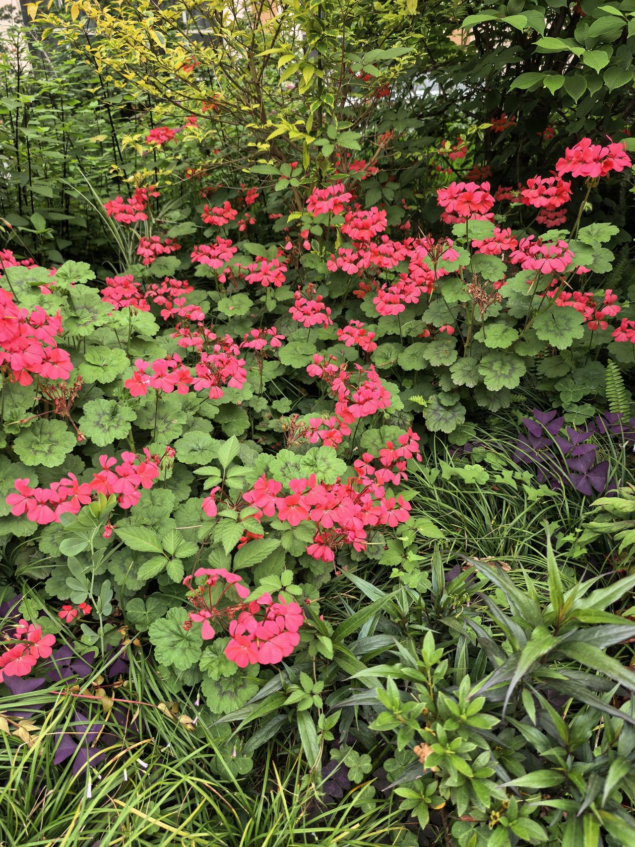 卫星化学A股今日走势情况及展望

一、今日收盘行情概览（2026年4月28日）