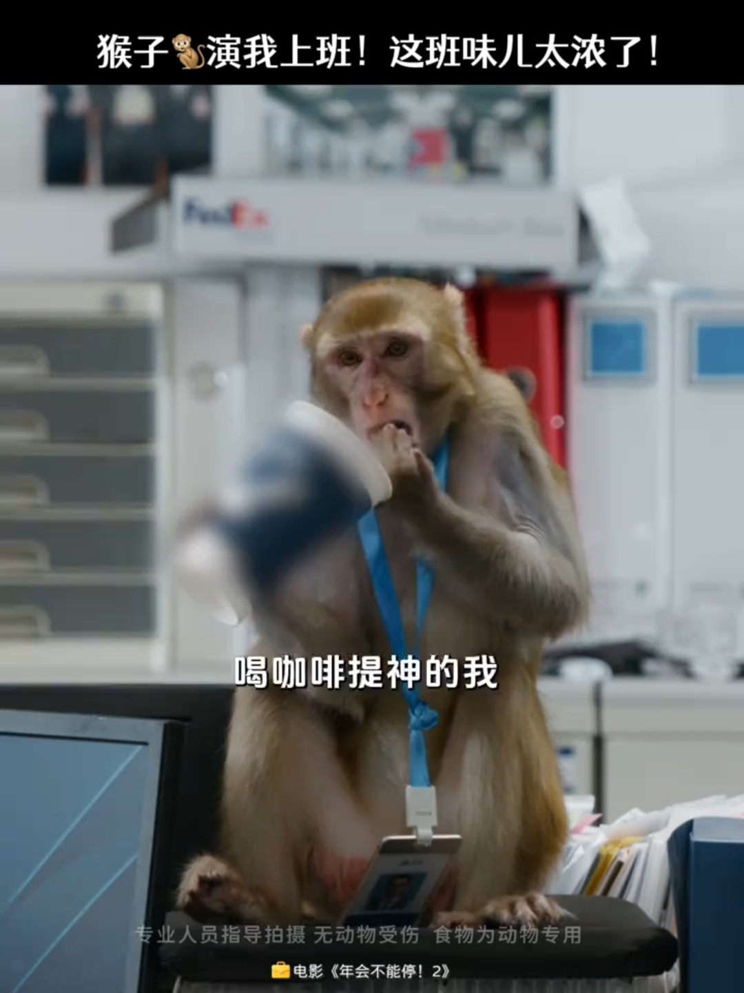 年会不能停2猴子精神状态比我稳羡慕年会不能停2猴子的随心所欲看完年会不能停2狠狠