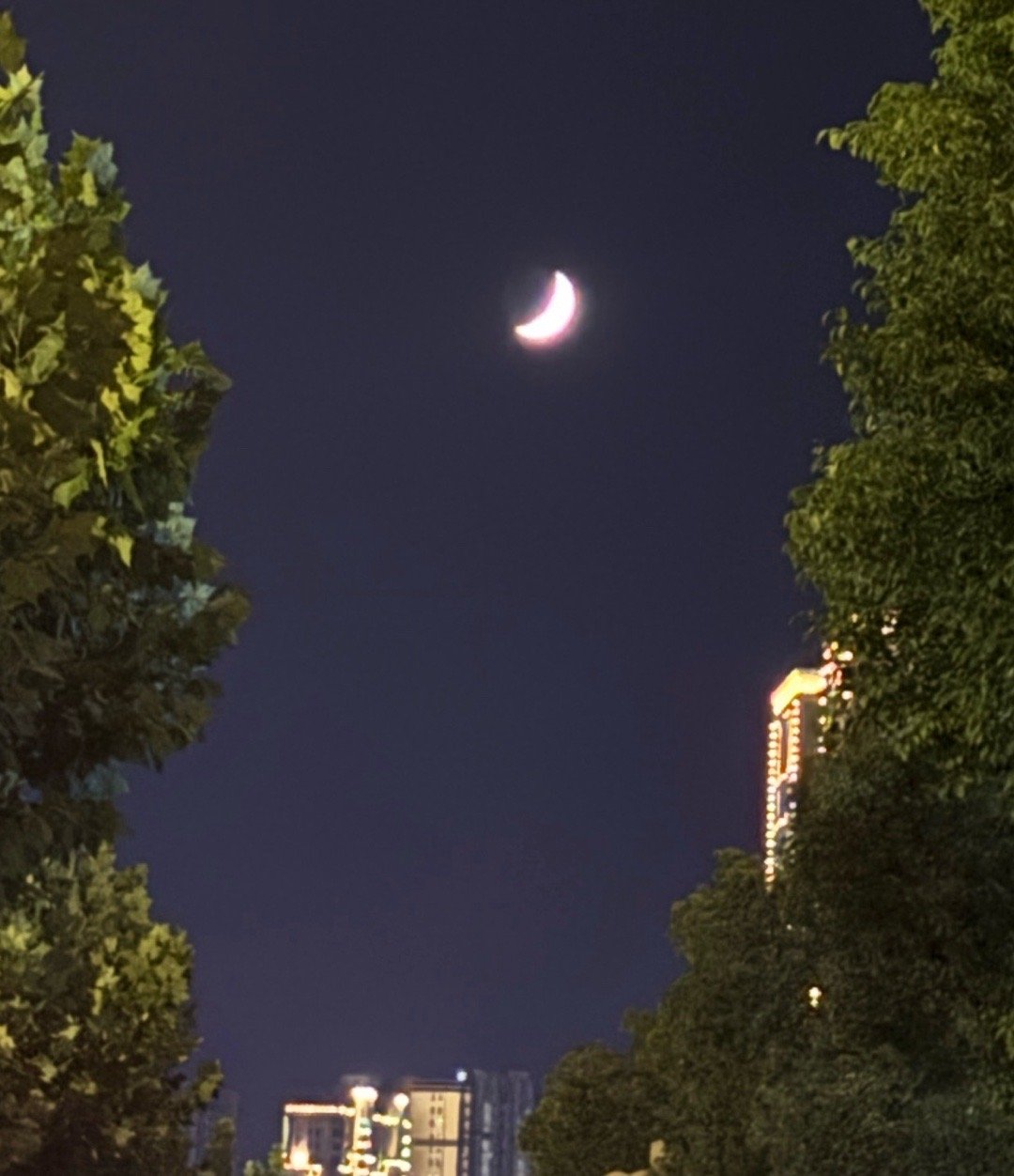 Oi～亲爱的贝贝们，今天是七夕啦～在这个情人节，祝我们勇敢而坚定，乐观且豁达祝我