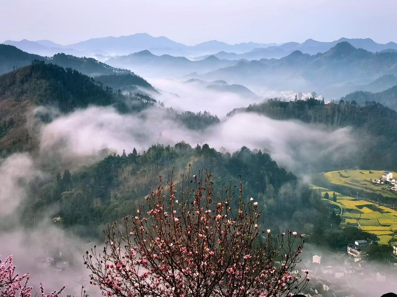 治愈系风景分享云海漫过青山，春花缀满枝头，春日的山野，藏着最治愈的人间仙境。
