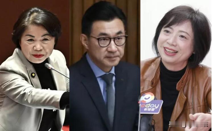 台中市长最新民调：江启臣46%何欣纯31%　差距大幅缩小

TVBS今天（23日